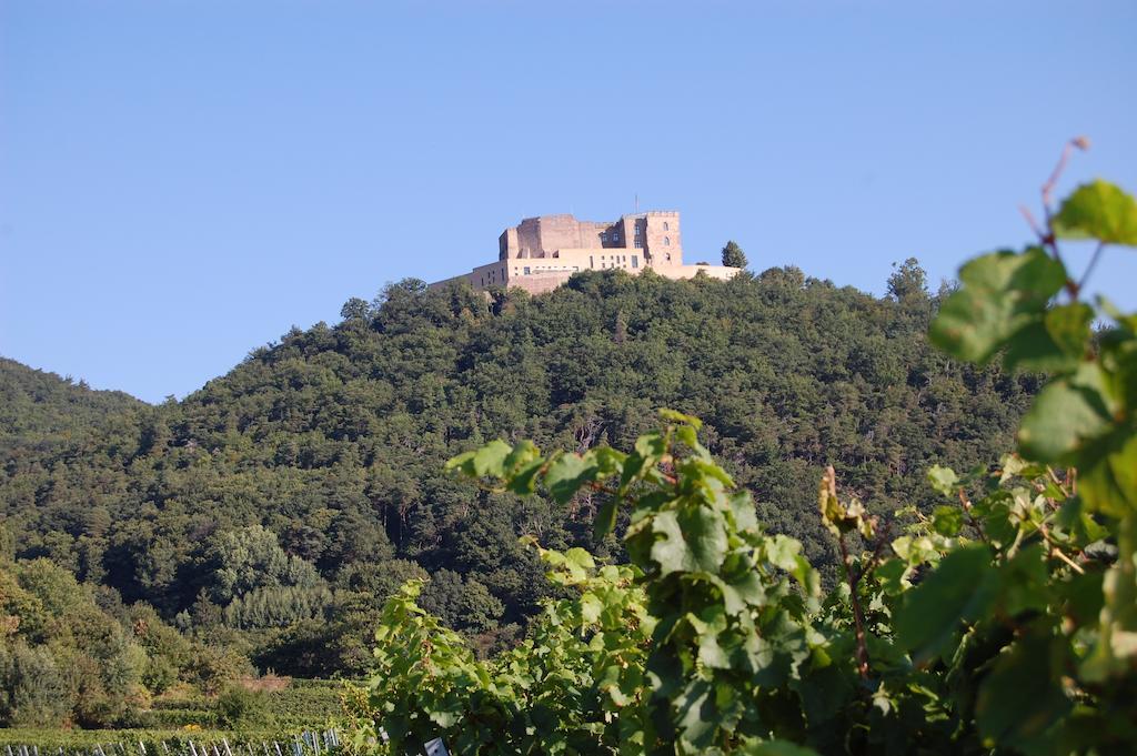 Landgasthof Jaegerstuebchen Neustadt an der Weinstraße Exteriér fotografie